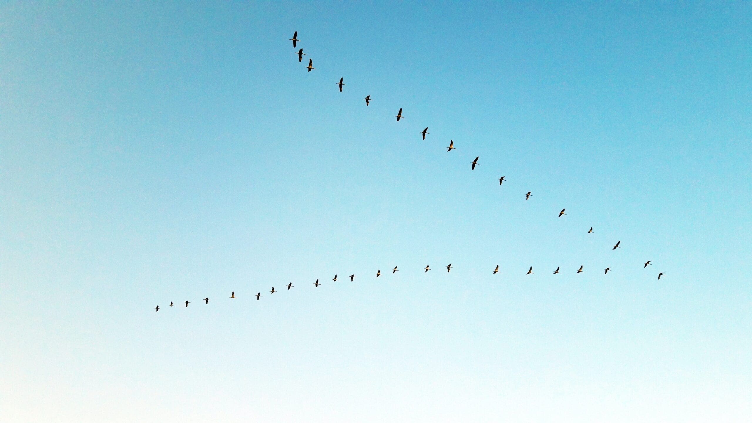 pravin chavda tGFTFfIZo unsplash