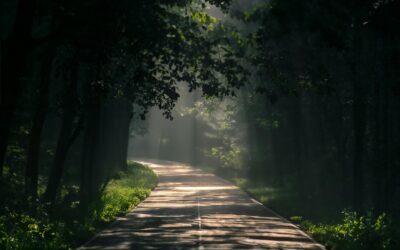 The Leadership Journey: Becoming a Trustworthy Steward of Power