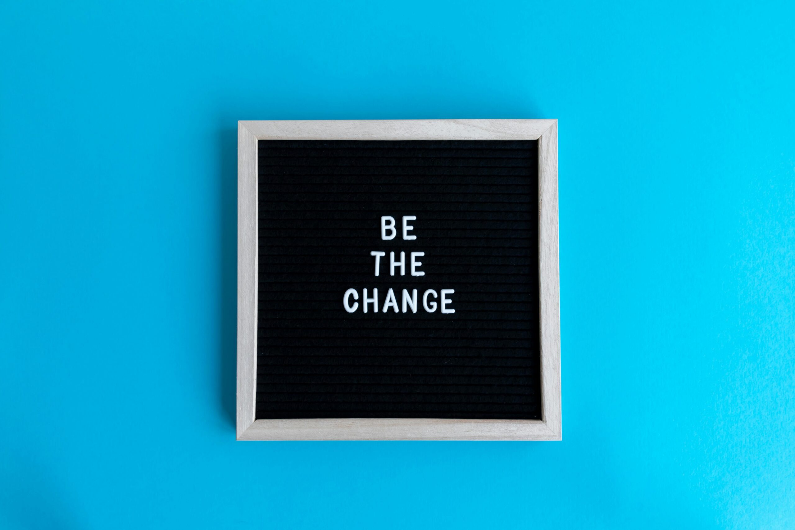 pexels jorgeural pexels jorgeural